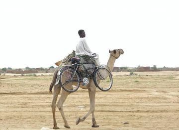 cyclo-tourisme saharien